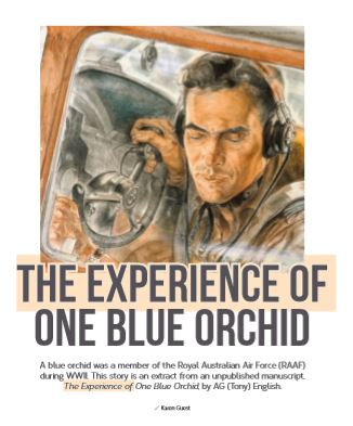The Experience of One Blue Orchid